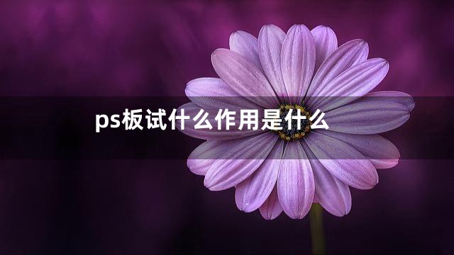 ps板试什么作用是什么