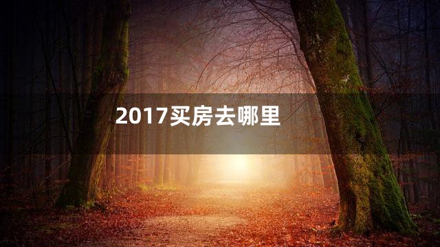 2017买房去哪里