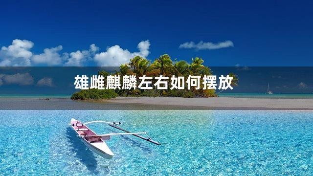 雄雌麒麟左右如何摆放