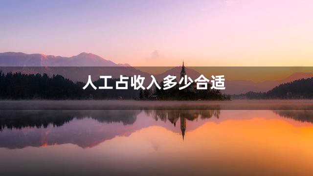 人工占收入多少合适