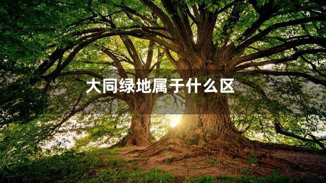 大同绿地属于什么区