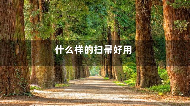 什么样的扫帚好用