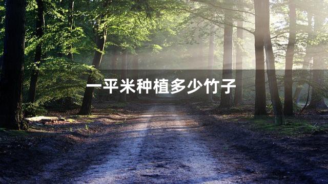 一平米种植多少竹子