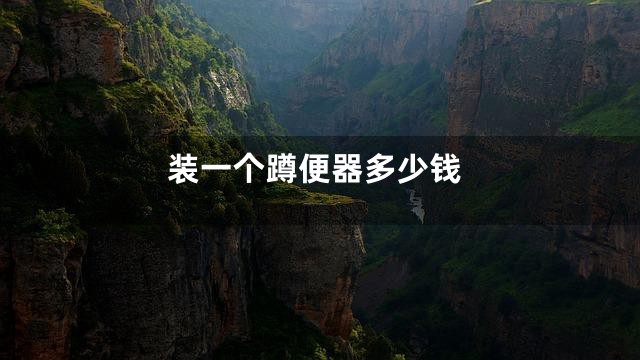 装一个蹲便器多少钱