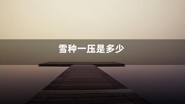 雪种一压是多少