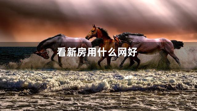 看新房用什么网好