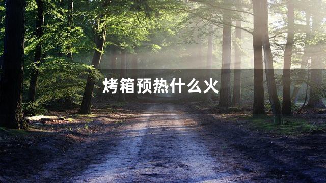 烤箱预热什么火