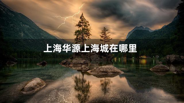 上海华源上海城在哪里