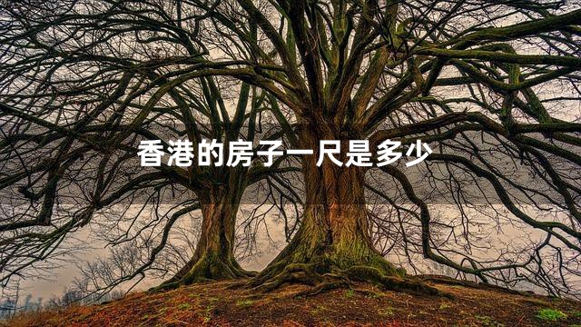 香港的房子一尺是多少