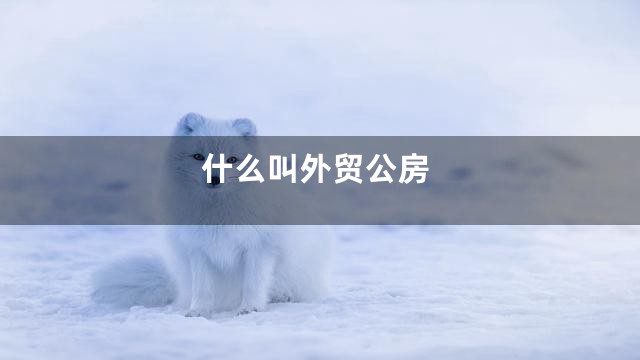 什么叫外贸公房