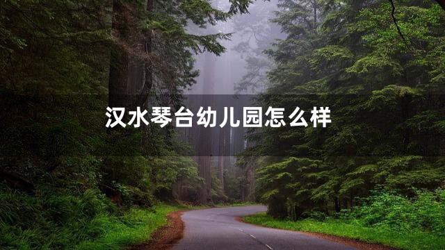 汉水琴台幼儿园怎么样
