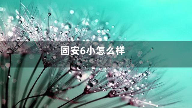 固安6小怎么样