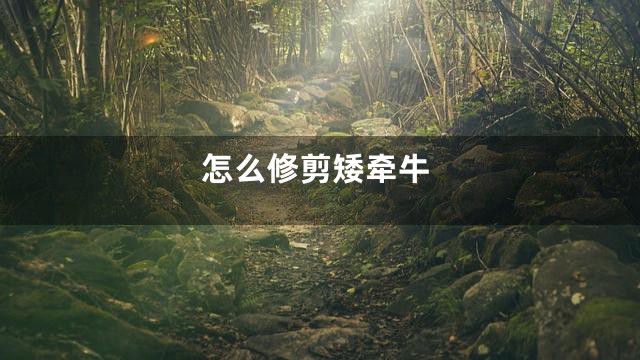 怎么修剪矮牵牛