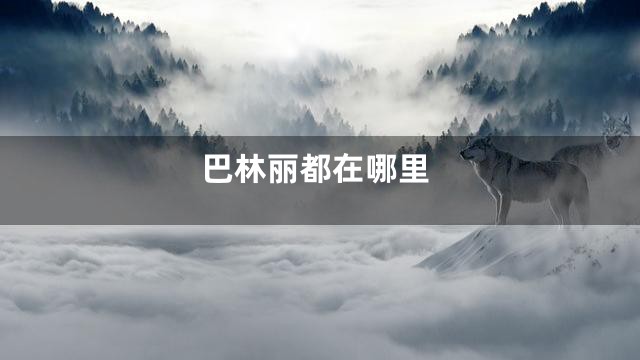 巴林丽都在哪里