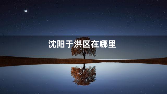 沈阳于洪区在哪里