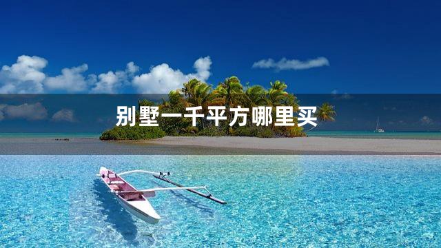 别墅一千平方哪里买