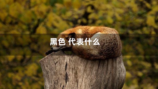 黑色 代表什么