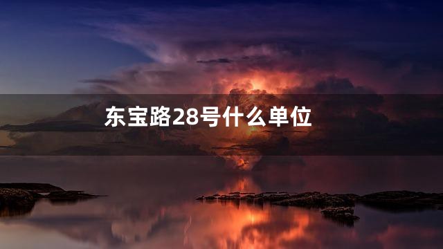 东宝路28号什么单位