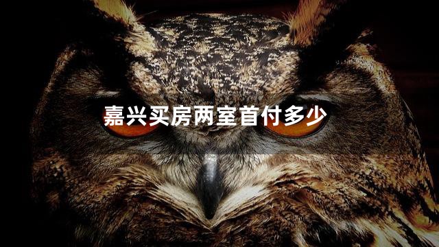 嘉兴买房两室首付多少