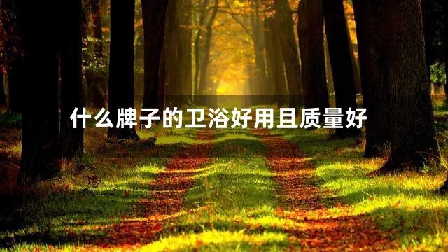 什么牌子的卫浴好用且质量好