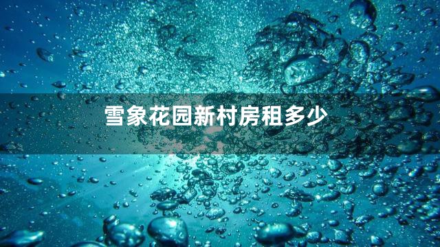 雪象花园新村房租多少