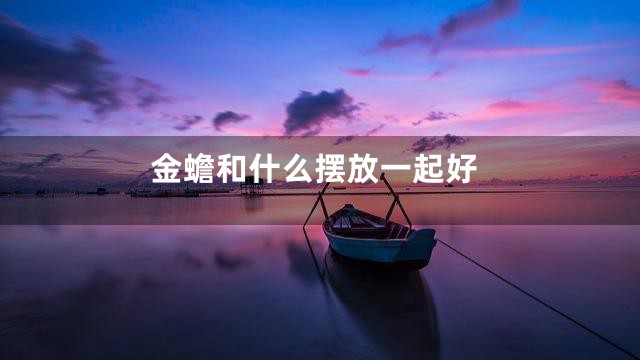 金蟾和什么摆放一起好