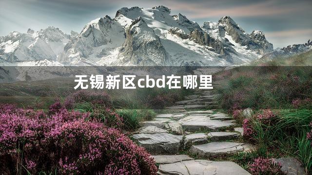 无锡新区cbd在哪里