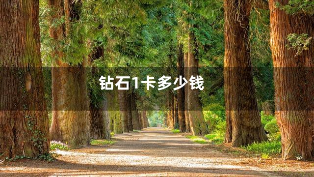 钻石1卡多少钱