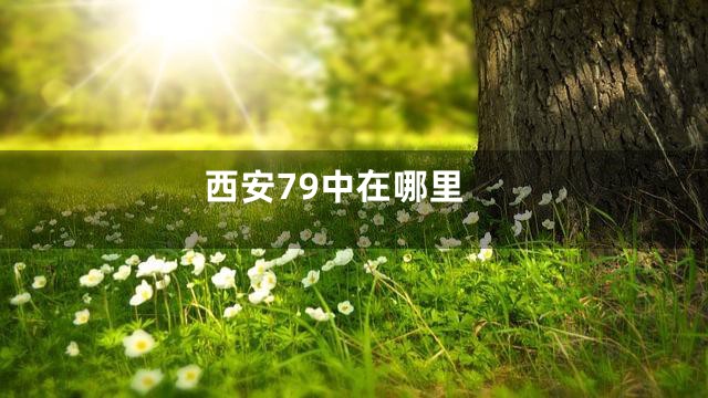 西安79中在哪里