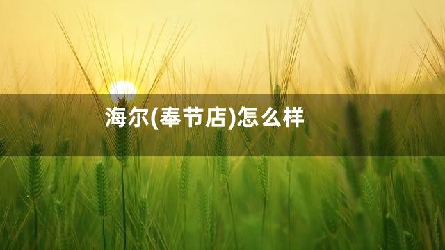 海尔(奉节店)怎么样