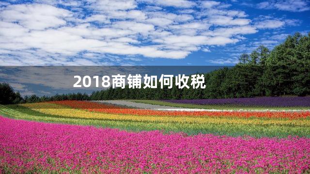 2018商铺如何收税