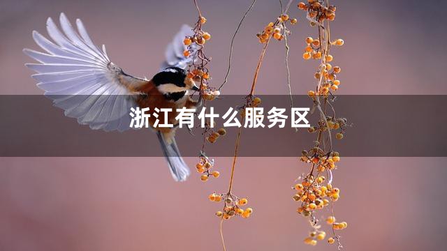 浙江有什么服务区
