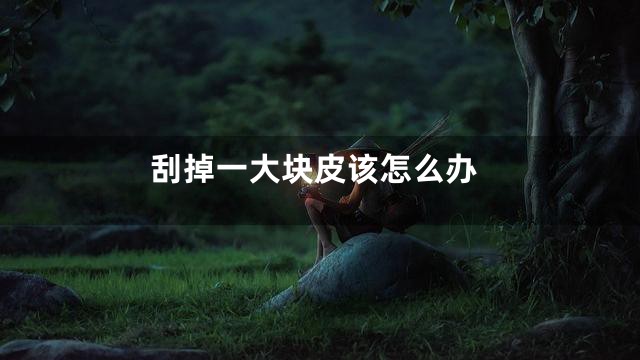 刮掉一大块皮该怎么办