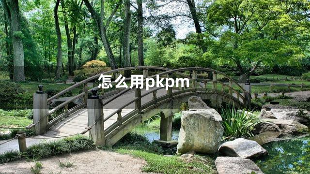怎么用pkpm