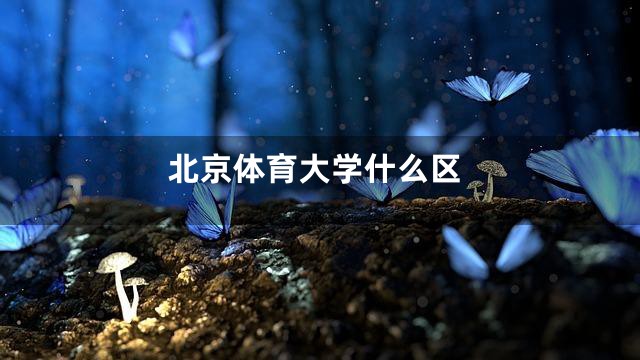 北京体育大学什么区