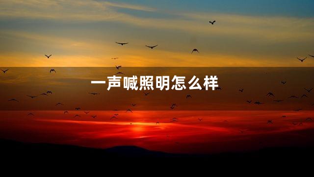 一声喊照明怎么样