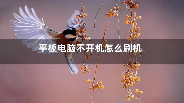 平板电脑不开机怎么刷机