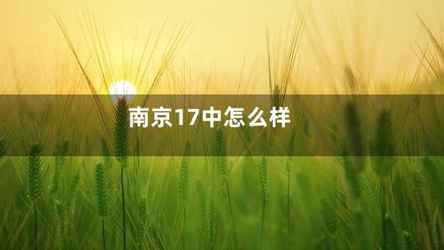 南京17中怎么样
