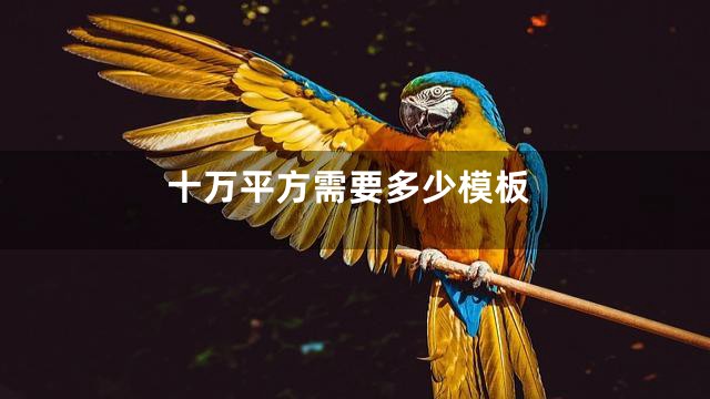 十万平方需要多少模板