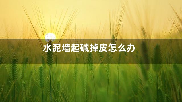 水泥墙起碱掉皮怎么办