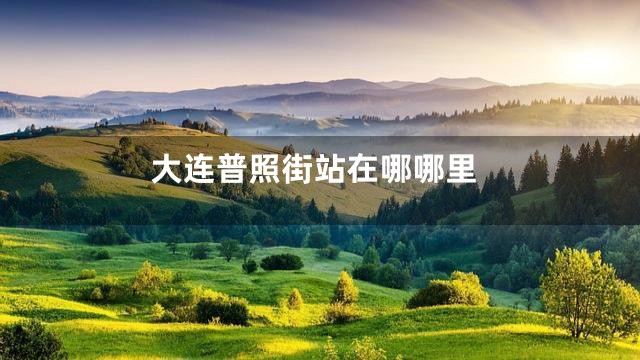 大连普照街站在哪哪里