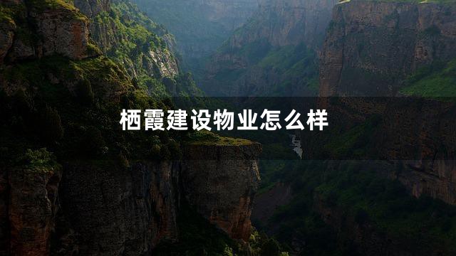 栖霞建设物业怎么样