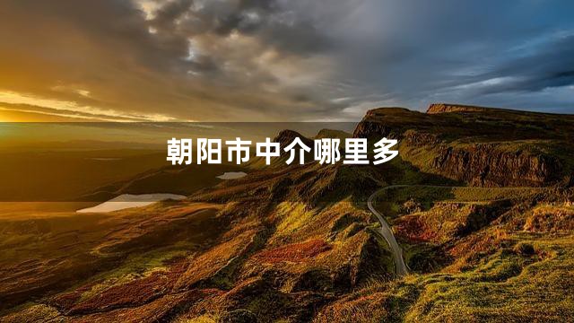 朝阳市中介哪里多