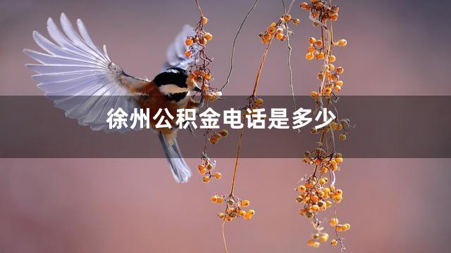 徐州公积金电话是多少