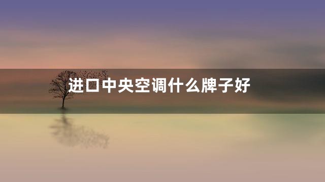 进口中央空调什么牌子好