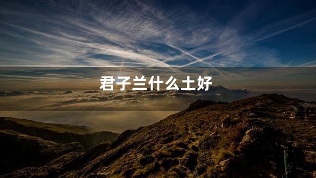 君子兰什么土好