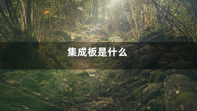 集成板是什么