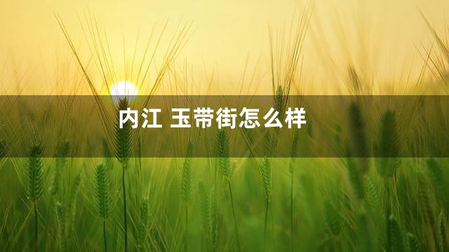 内江 玉带街怎么样