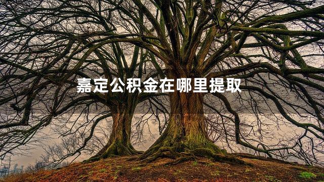 嘉定公积金在哪里提取