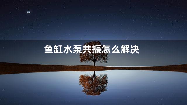 鱼缸水泵共振怎么解决
